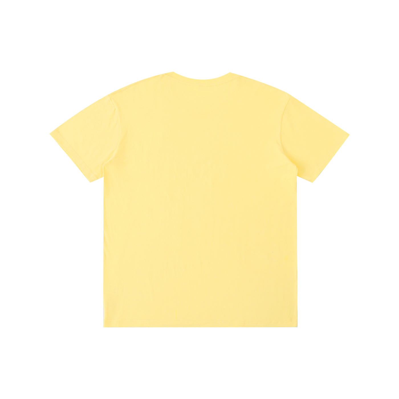 Aqua -Pure Cotton Unisex T-Shirt